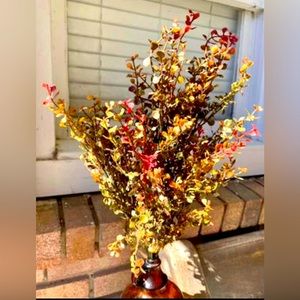 Red Baby’s Grass Bush, 21”